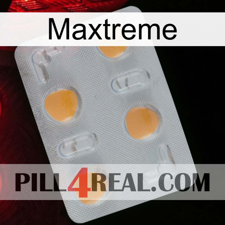 Maxtreme 24